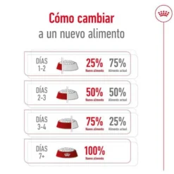 Royal Canin Medium 10+ Ageing ração para cães sénior