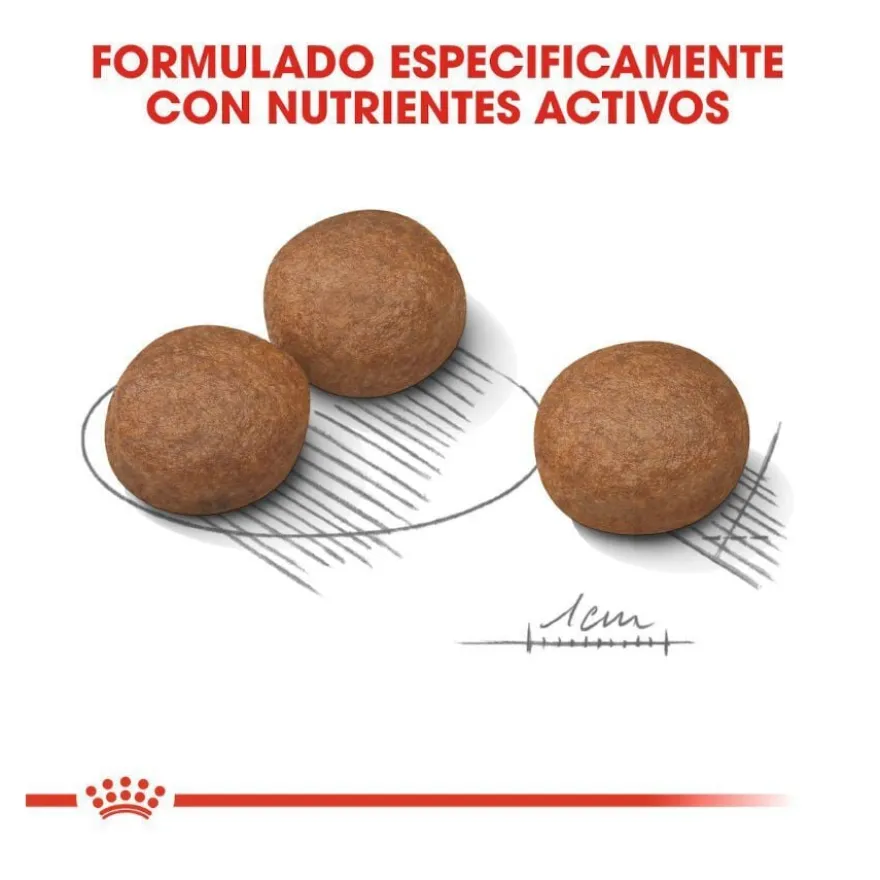 Royal Canin Medium Digestive Care ração para cães