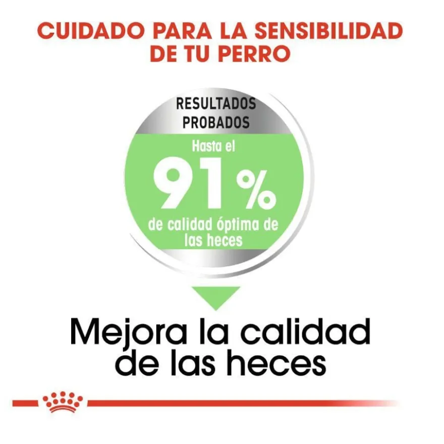 Royal Canin Medium Digestive Care ração para cães