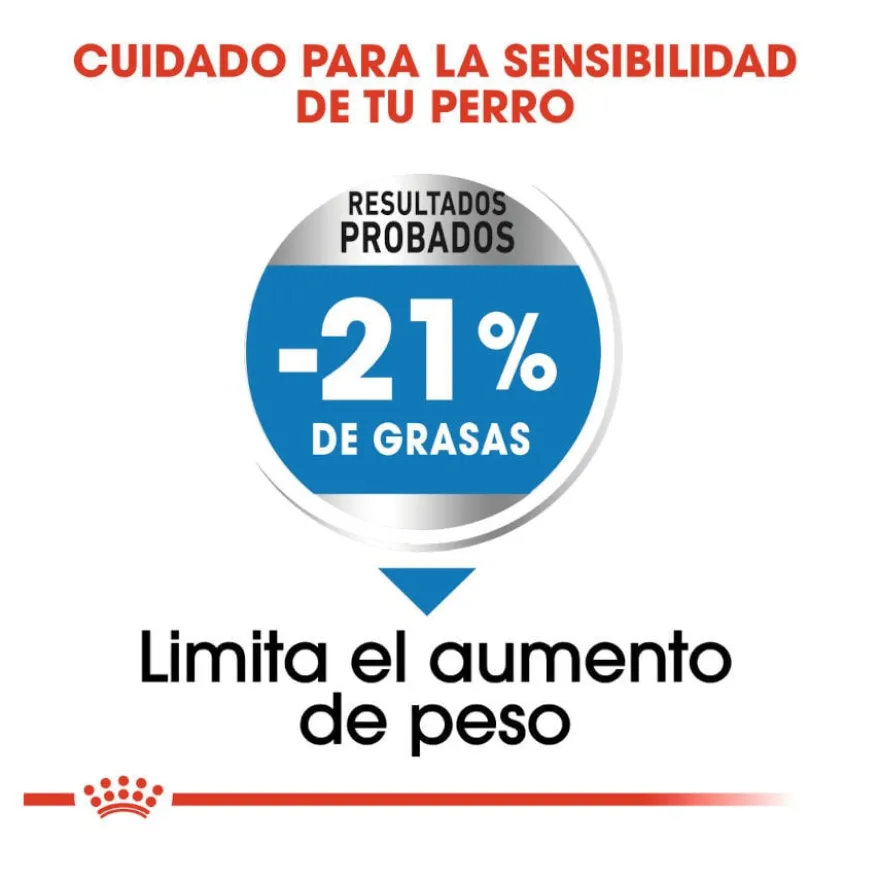 Royal Canin Medium Light Weight Care ração para cães