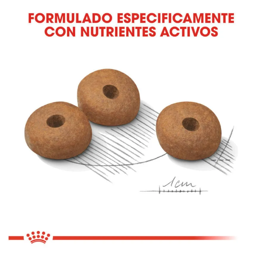 Royal Canin Medium Light Weight Care ração para cães