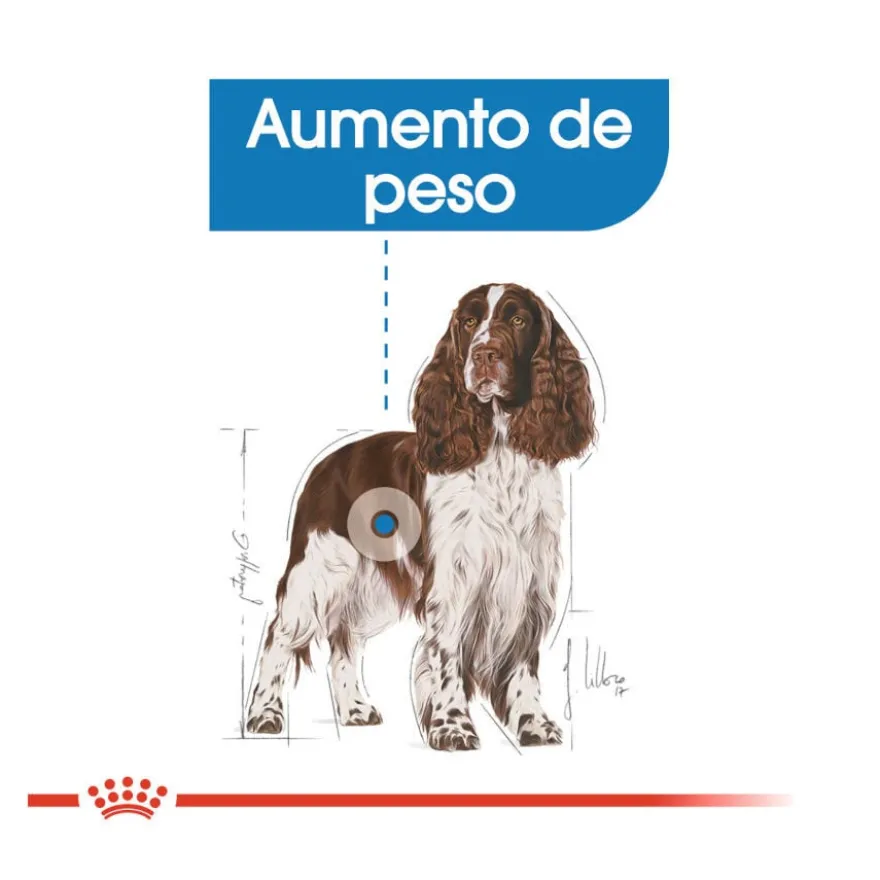 Royal Canin Medium Light Weight Care ração para cães