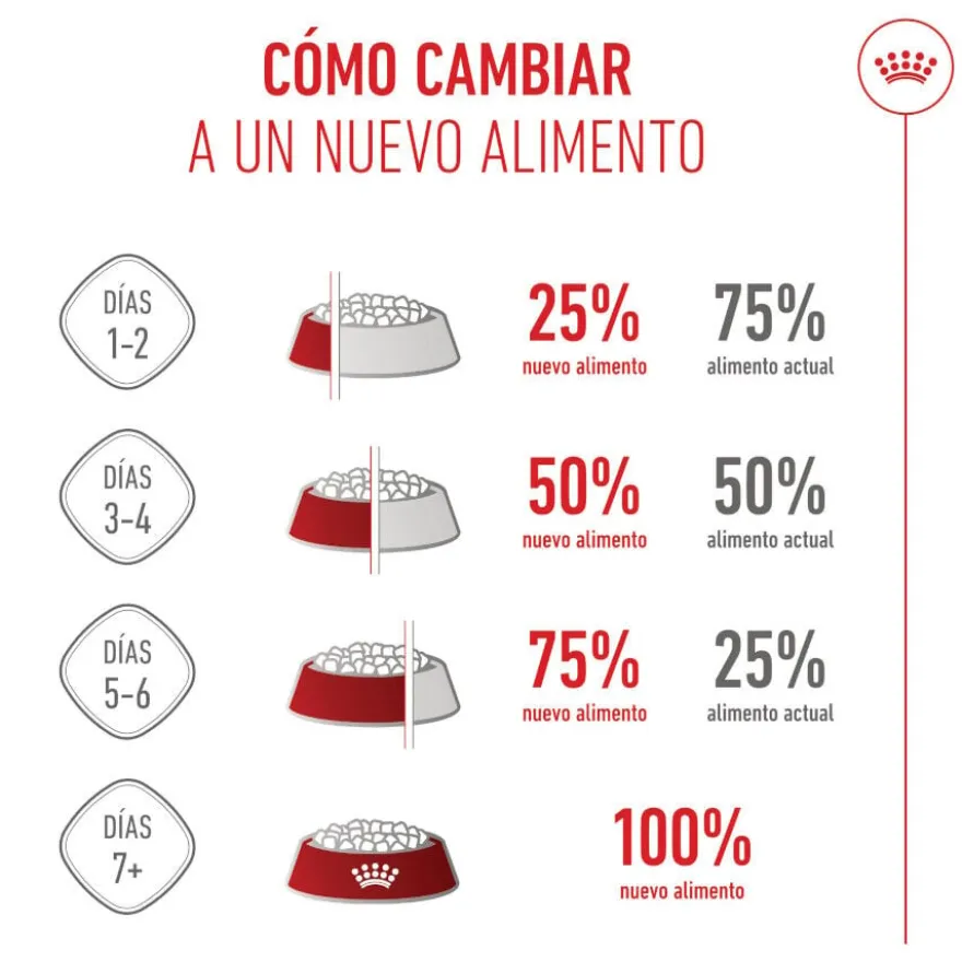 Royal Canin Medium Starter Mother&Baby ração para cães