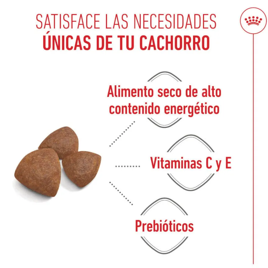 Royal Canin Medium Starter Mother&Baby ração para cães