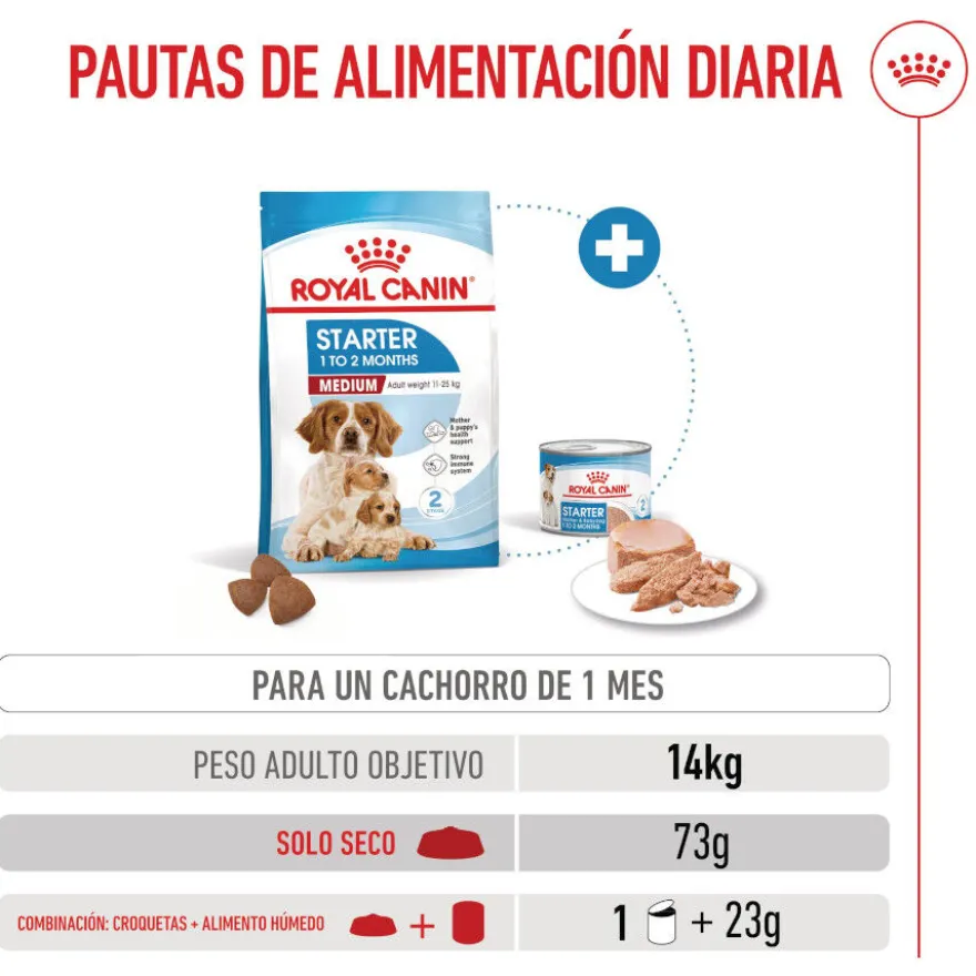 Royal Canin Medium Starter Mother&Baby ração para cães