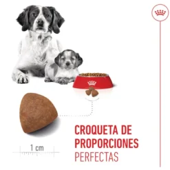 Royal Canin Medium Starter Mother&Baby ração para cães