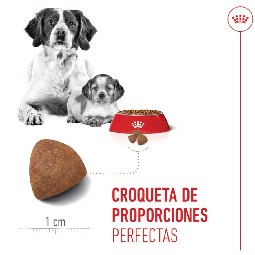 Royal Canin Medium Starter Mother&Baby ração para cães