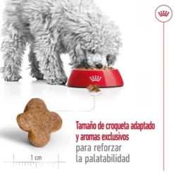 Royal Canin Mini 8+ Adult ração para cães