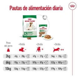 Royal Canin Mini 8+ Adult ração para cães
