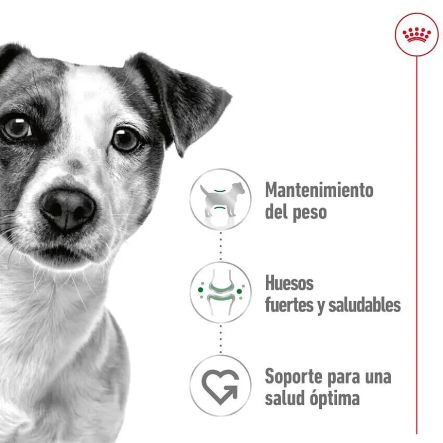 Royal Canin Mini Adult saqueta em molho para cães