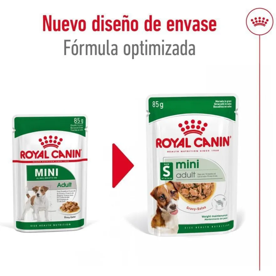Royal Canin Mini Adult saqueta em molho para cães