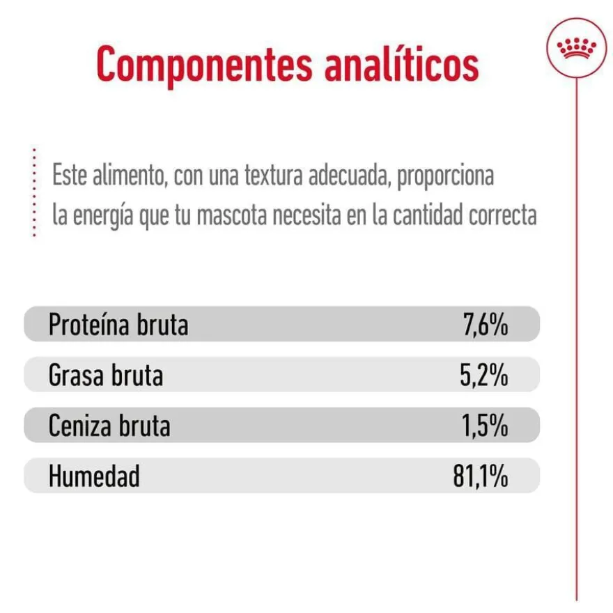 Royal Canin Mini Adult saqueta em molho para cães