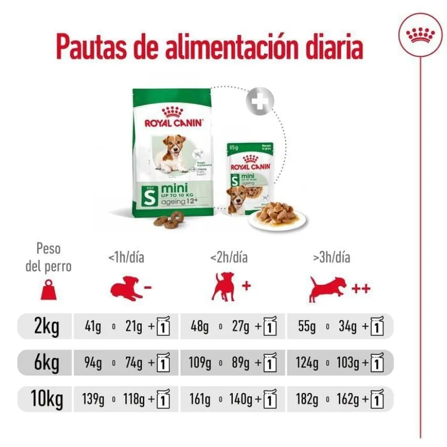 Royal Canin Mini 12+ Ageing ração para cães sénior