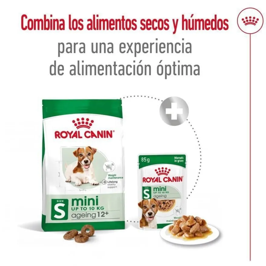 Royal Canin Mini 12+ Ageing ração para cães sénior