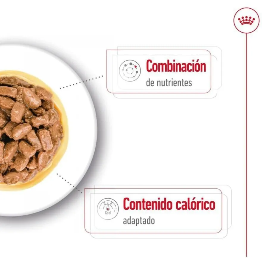 Royal Canin Mini Ageing saquetas em molho para cães sénior