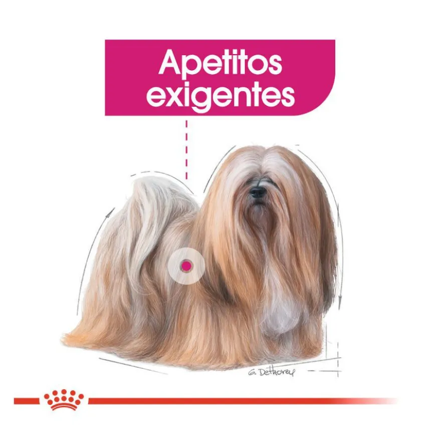 Royal Canin Mini Exigent ração para cães