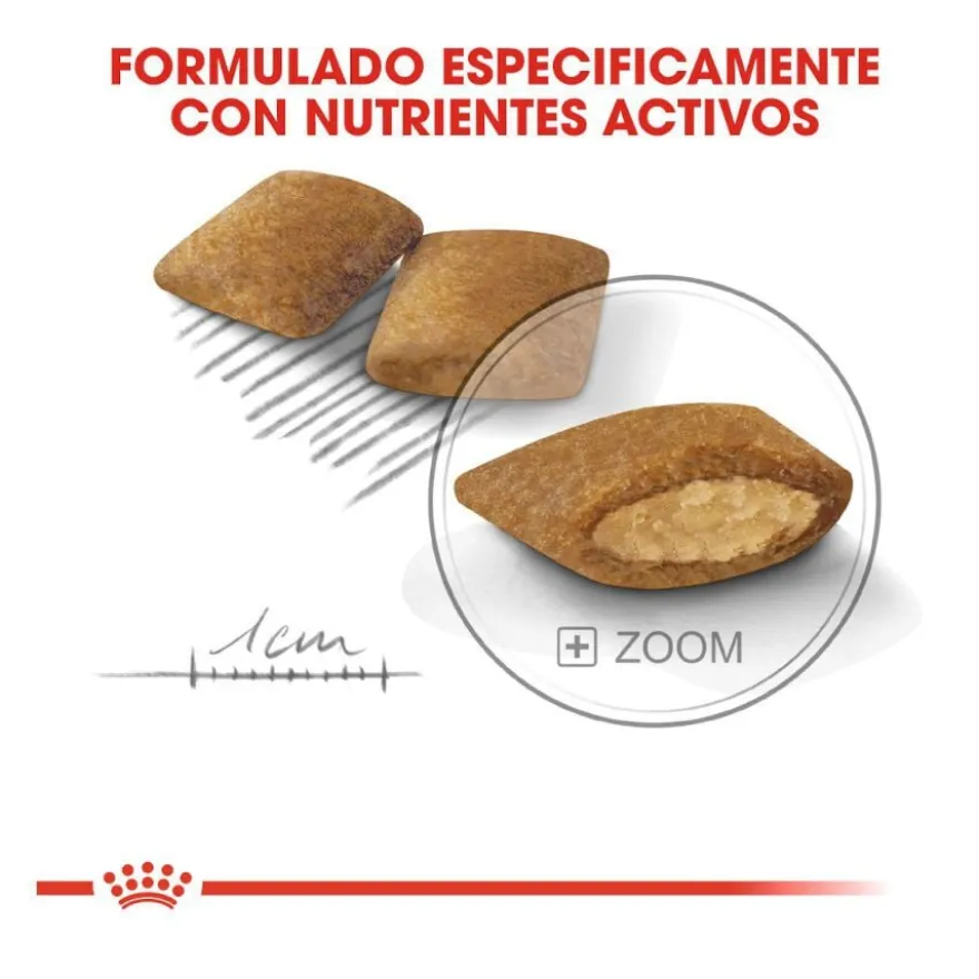 Royal Canin Mini Exigent ração para cães
