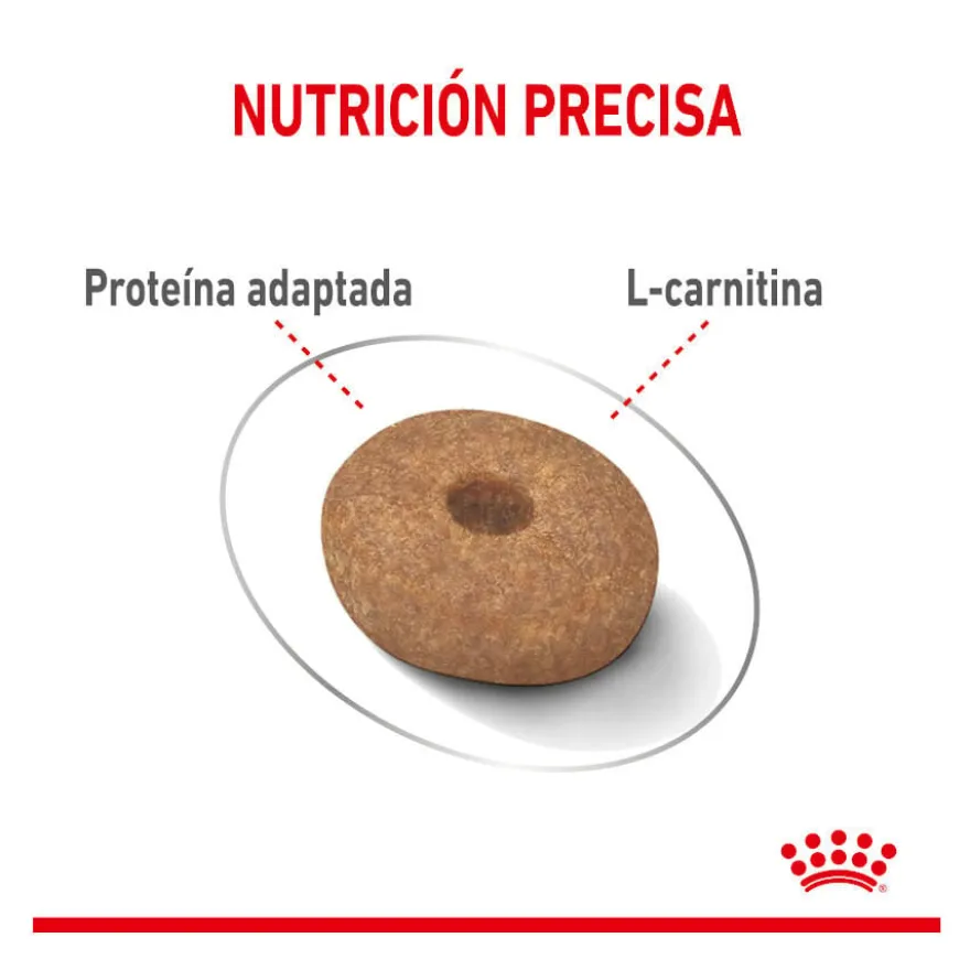 Royal Canin Mini Light Weight Care ração para cães