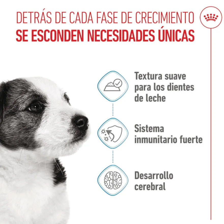 Royal Canin Mini Puppy alimento húmido em molho saquetas para cães