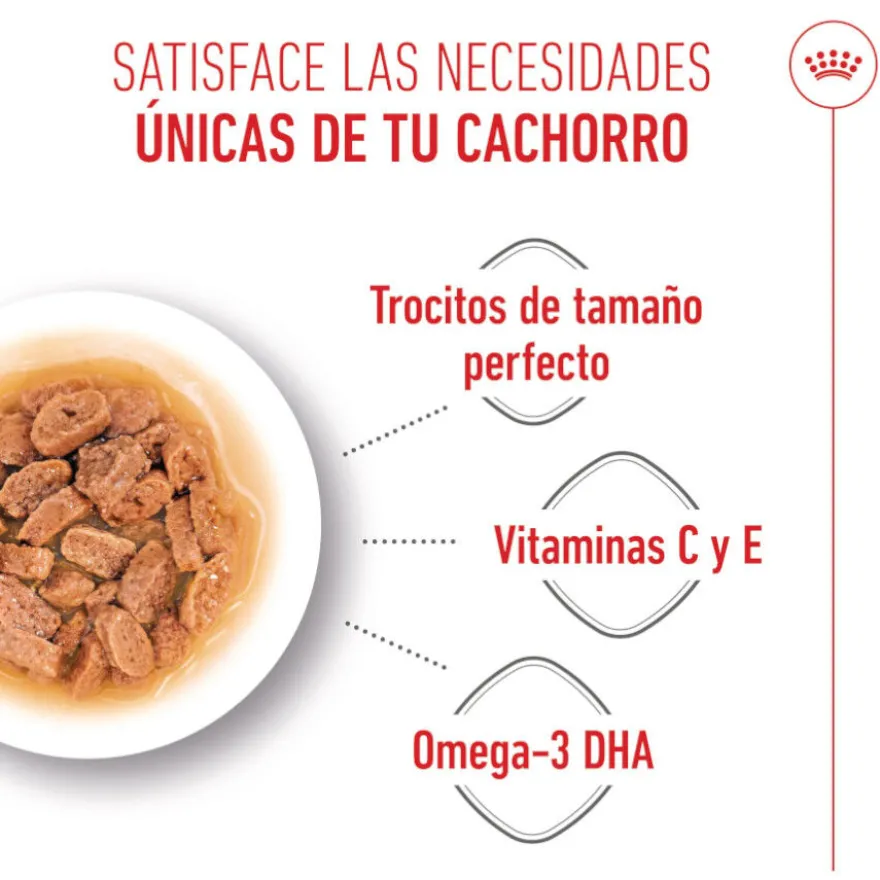 Royal Canin Mini Puppy alimento húmido em molho saquetas para cães
