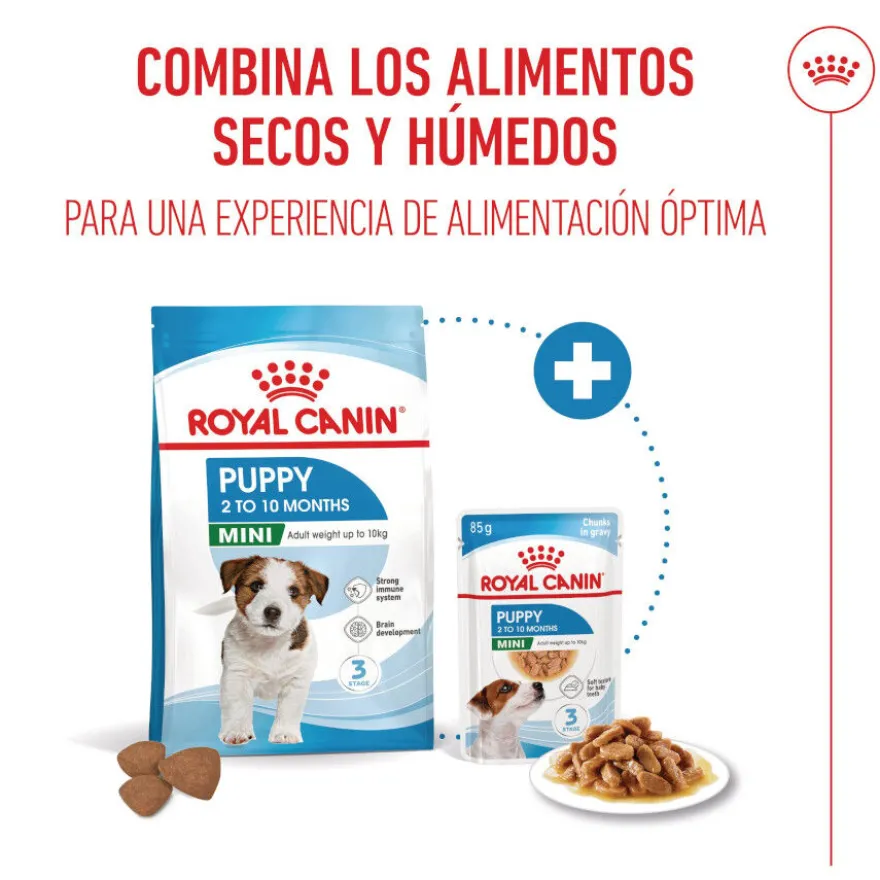 Royal Canin Mini Puppy alimento húmido em molho saquetas para cães