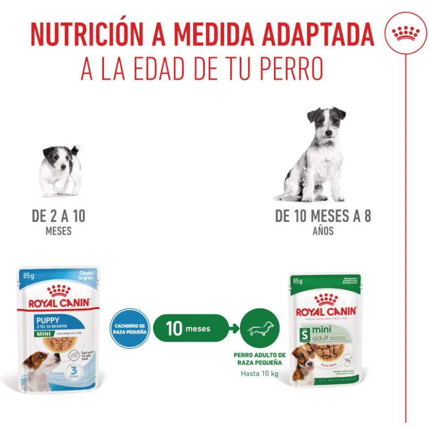Royal Canin Mini Puppy alimento húmido em molho saquetas para cães