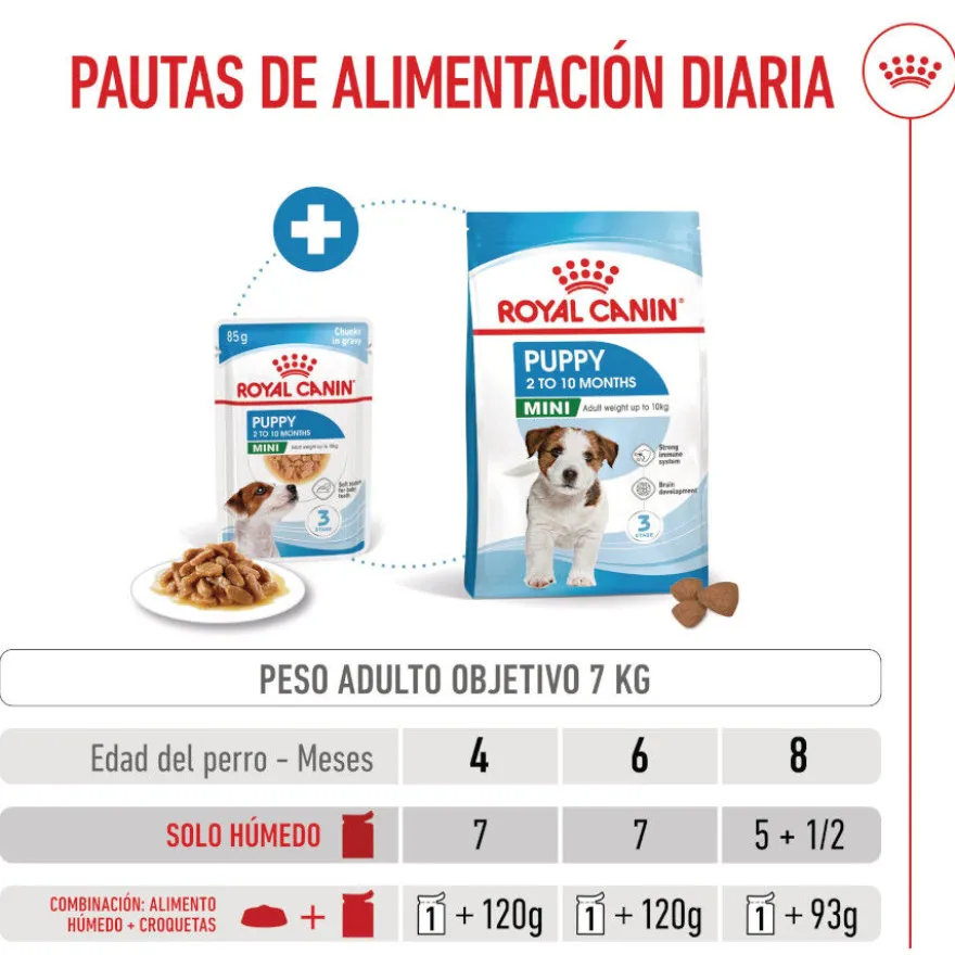 Royal Canin Mini Puppy alimento húmido em molho saquetas para cães