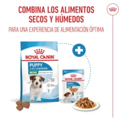 Royal Canin Mini Puppy ração para cachorros pequenos