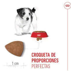 Royal Canin Mini Puppy ração para cachorros pequenos