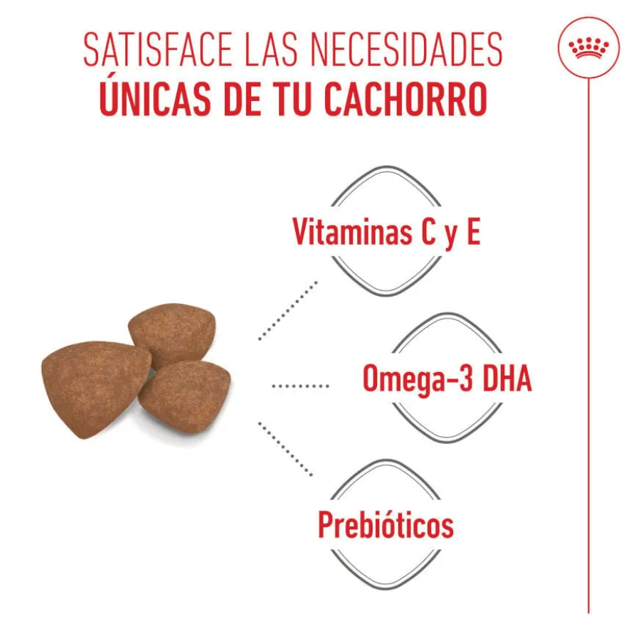Royal Canin Mini Puppy ração para cachorros pequenos