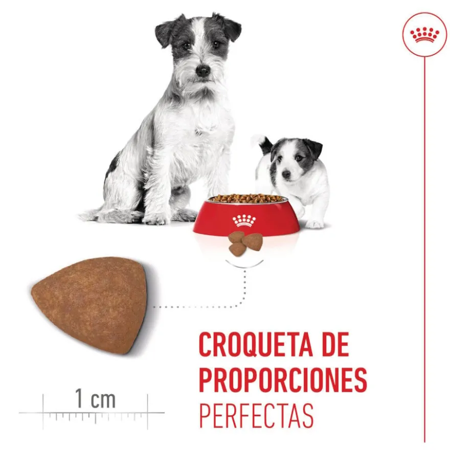 Royal Canin Mini Starter Mother&Baby ração para cães