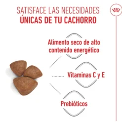 Royal Canin Mini Starter Mother&Baby ração para cães
