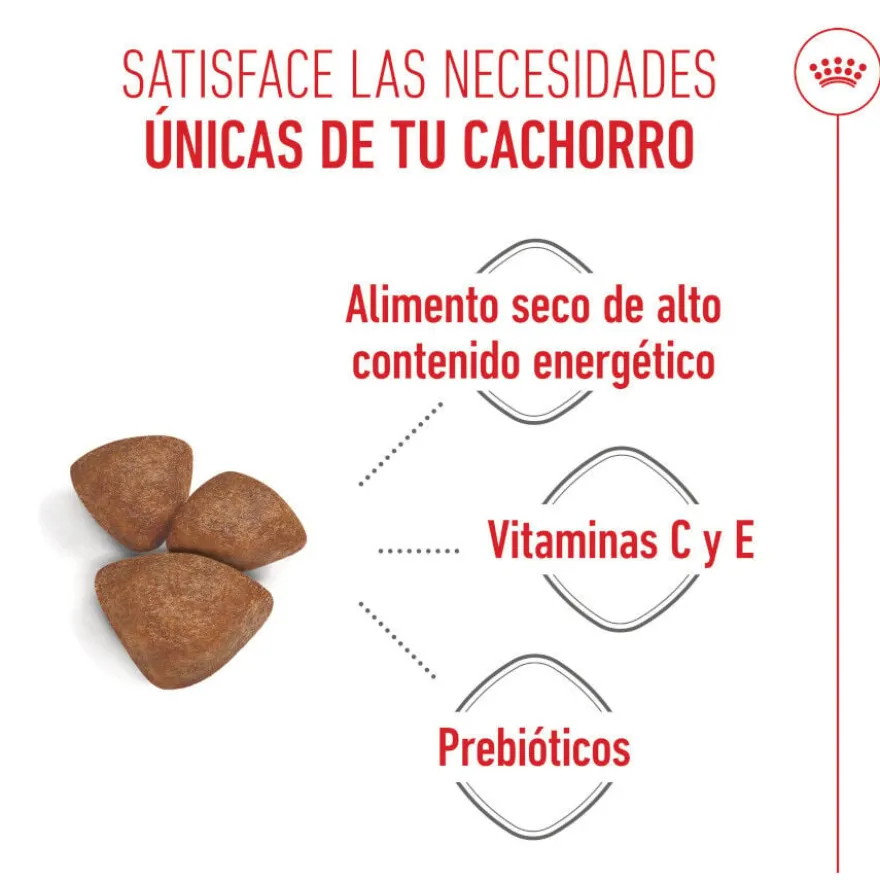Royal Canin Mini Starter Mother&Baby ração para cães