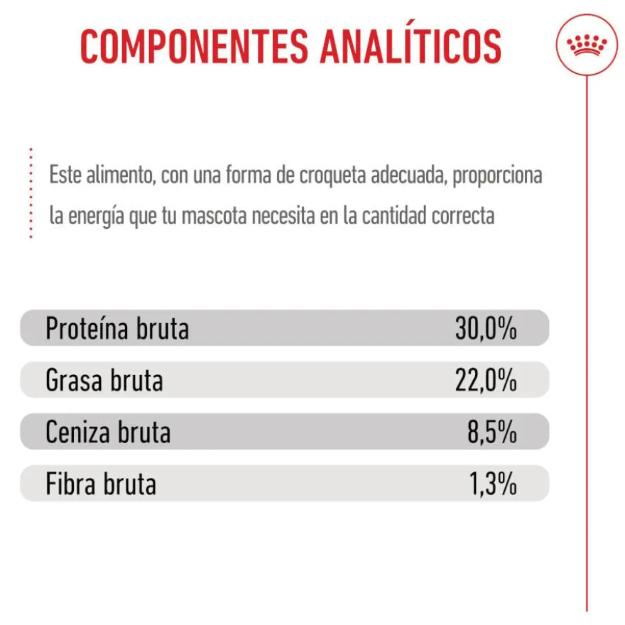 Royal Canin Mini Starter Mother&Baby ração para cães