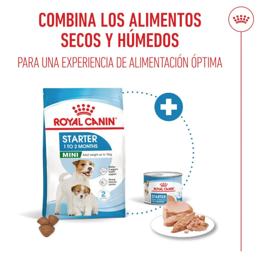 Royal Canin Mini Starter Mother&Baby ração para cães