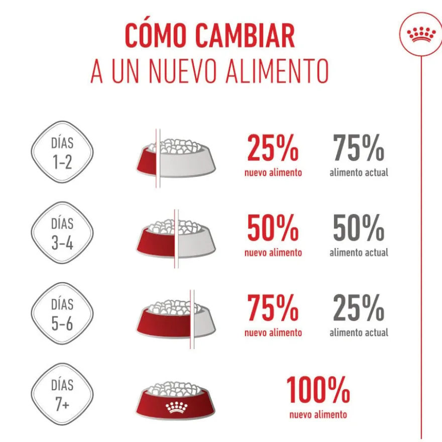 Royal Canin Mini Starter Mother&Baby ração para cães