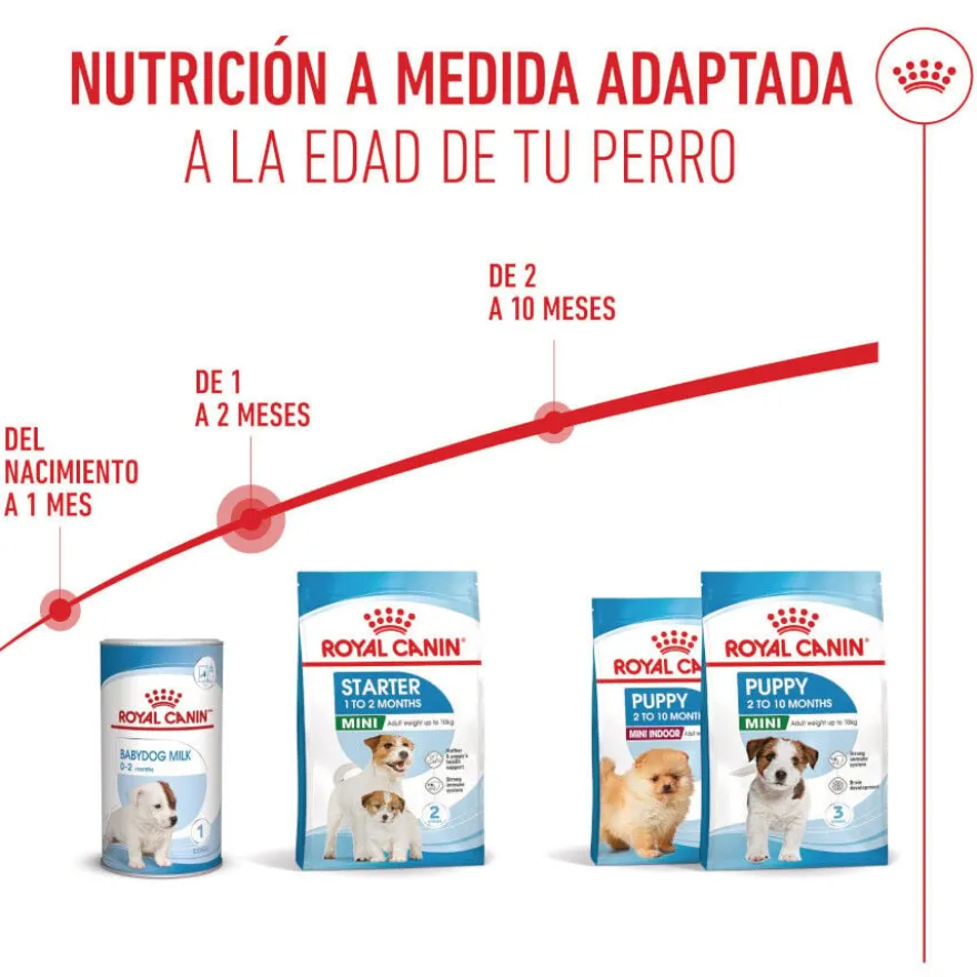 Royal Canin Mini Starter Mother&Baby ração para cães