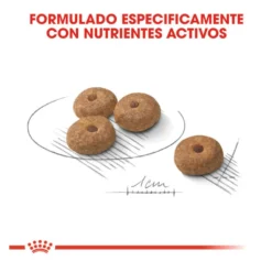 Royal Canin Mini Sterilised ração para cães