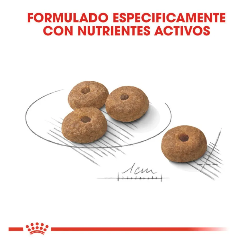 Royal Canin Mini Sterilised ração para cães