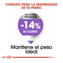 Royal Canin Mini Sterilised ração para cães