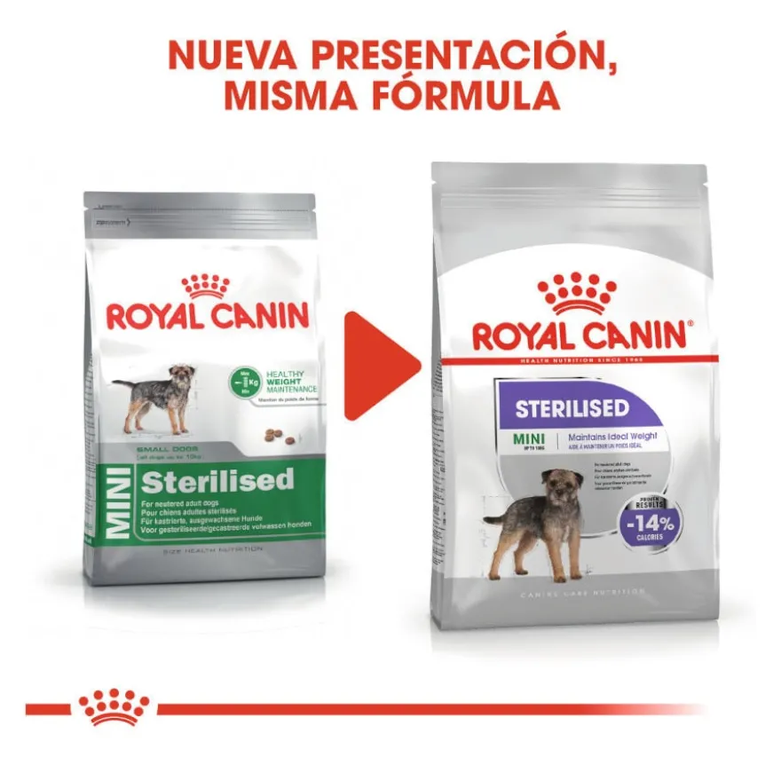 Royal Canin Mini Sterilised ração para cães
