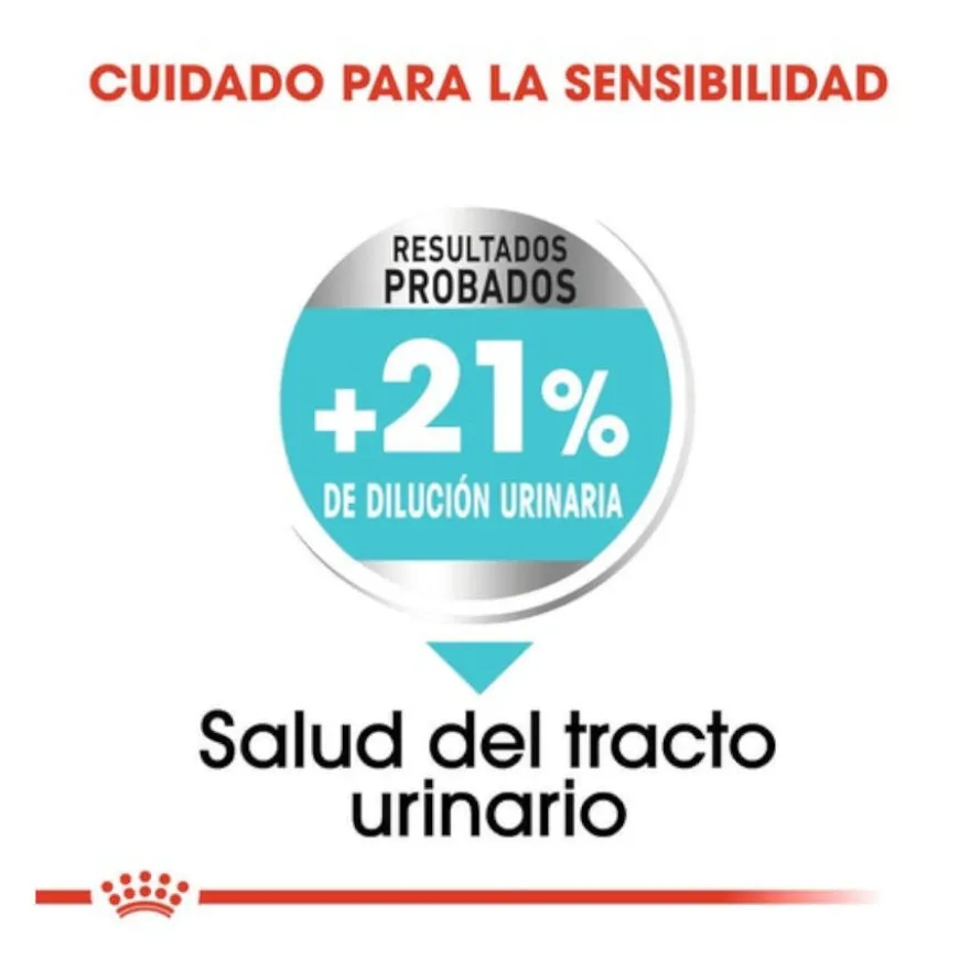 Royal Canin Mini Urinary Care ração para cães