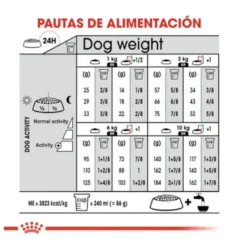 Royal Canin Mini Urinary Care ração para cães
