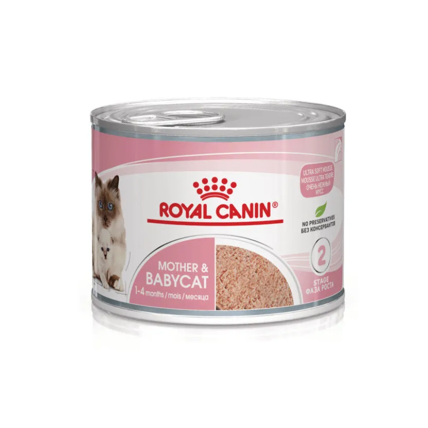 Royal Canin Mother Baby mousse latas para gatos