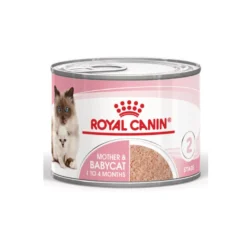 Royal Canin Mother Baby mousse latas para gatos