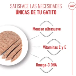Royal Canin Mother Baby mousse latas para gatos