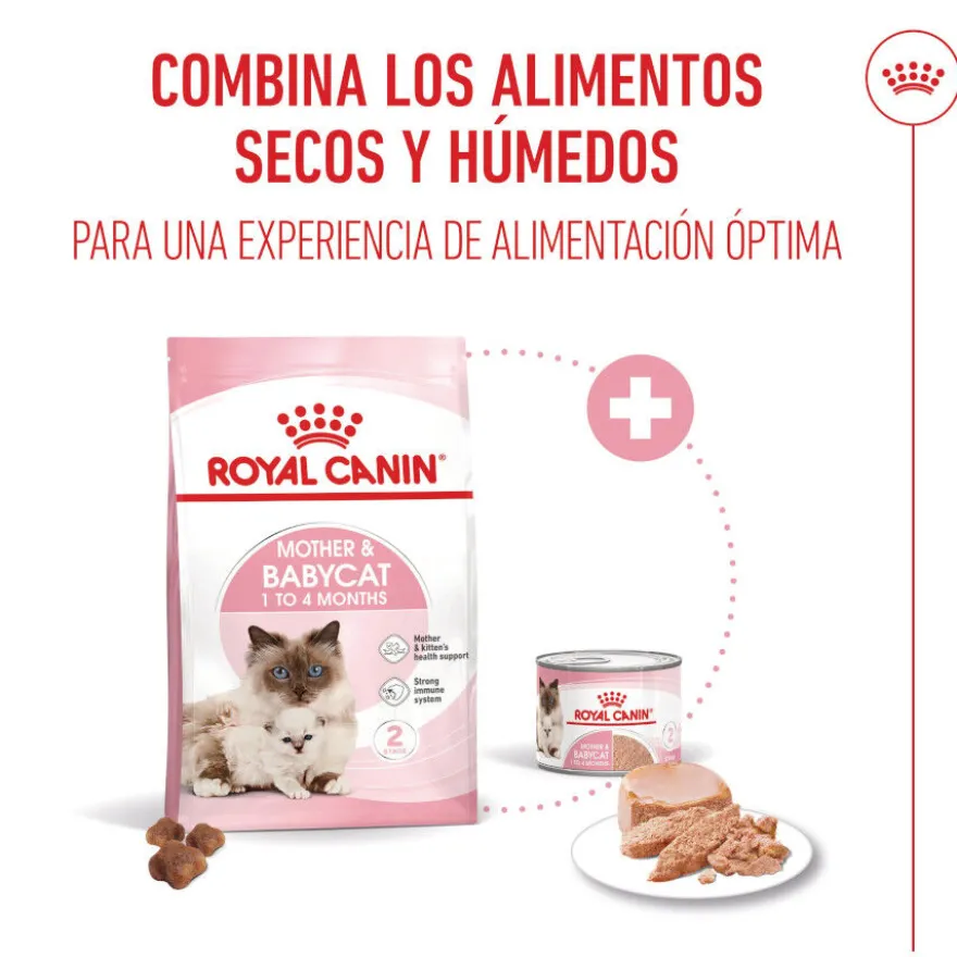 Royal Canin Mother Baby mousse latas para gatos