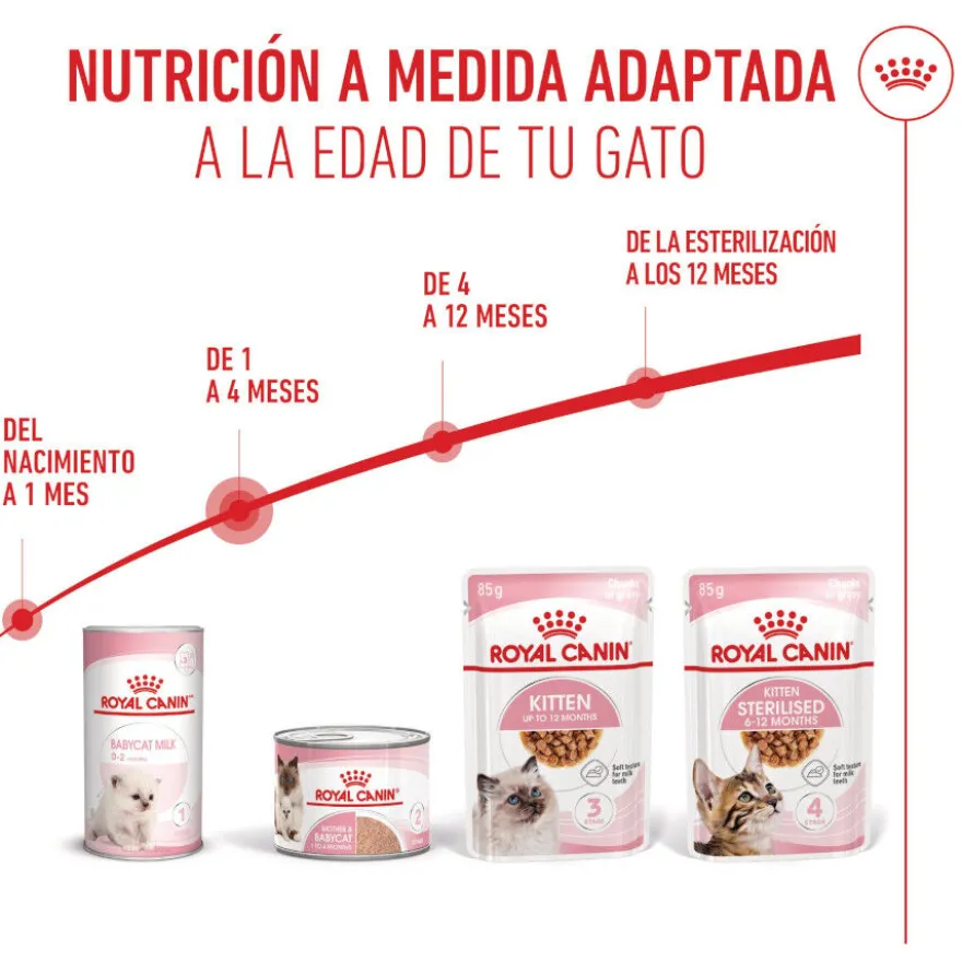 Royal Canin Mother Baby mousse latas para gatos