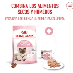 Royal Canin Mother Baby mousse latas para gatos