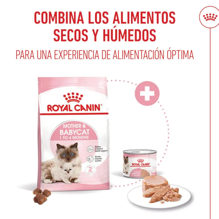 Royal Canin Mother Baby mousse latas para gatos